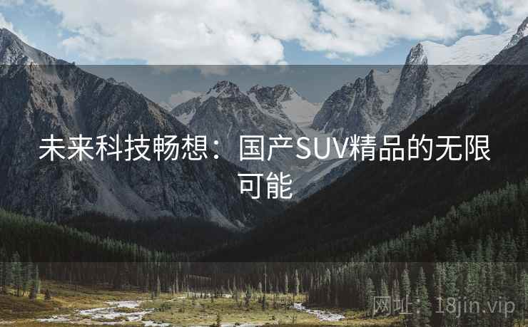 未来科技畅想：国产SUV精品的无限可能  第2张